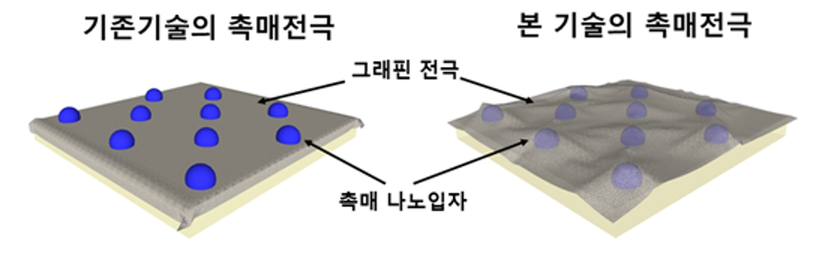 그래핀을 이불처럼 덮어 3,000회 측정 가능한 혈당센서 기술 개발 이미지