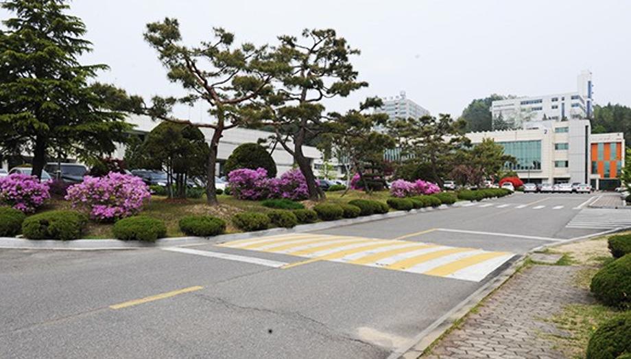 한국화학연구원 사계 - 봄 이미지