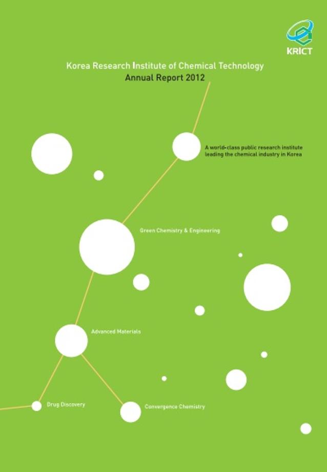 2012 Annual Report 이미지