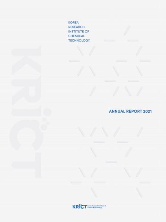 2021 Annual Report 이미지